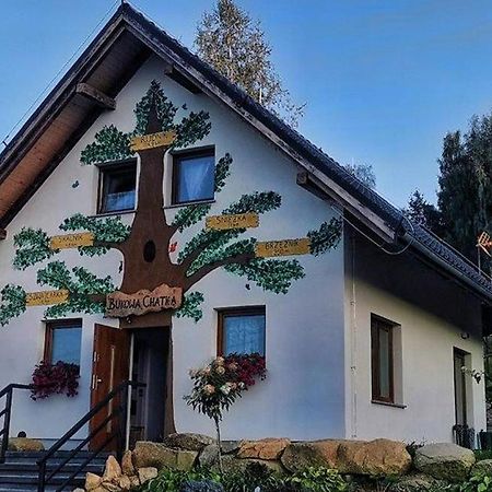 Bukowa Chatka Bukowiec  Extérieur photo